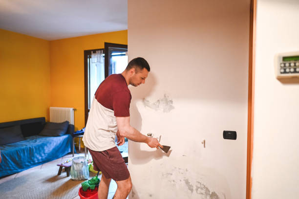 Best Office Mold Removal Services  in Hacienda Heights, CA